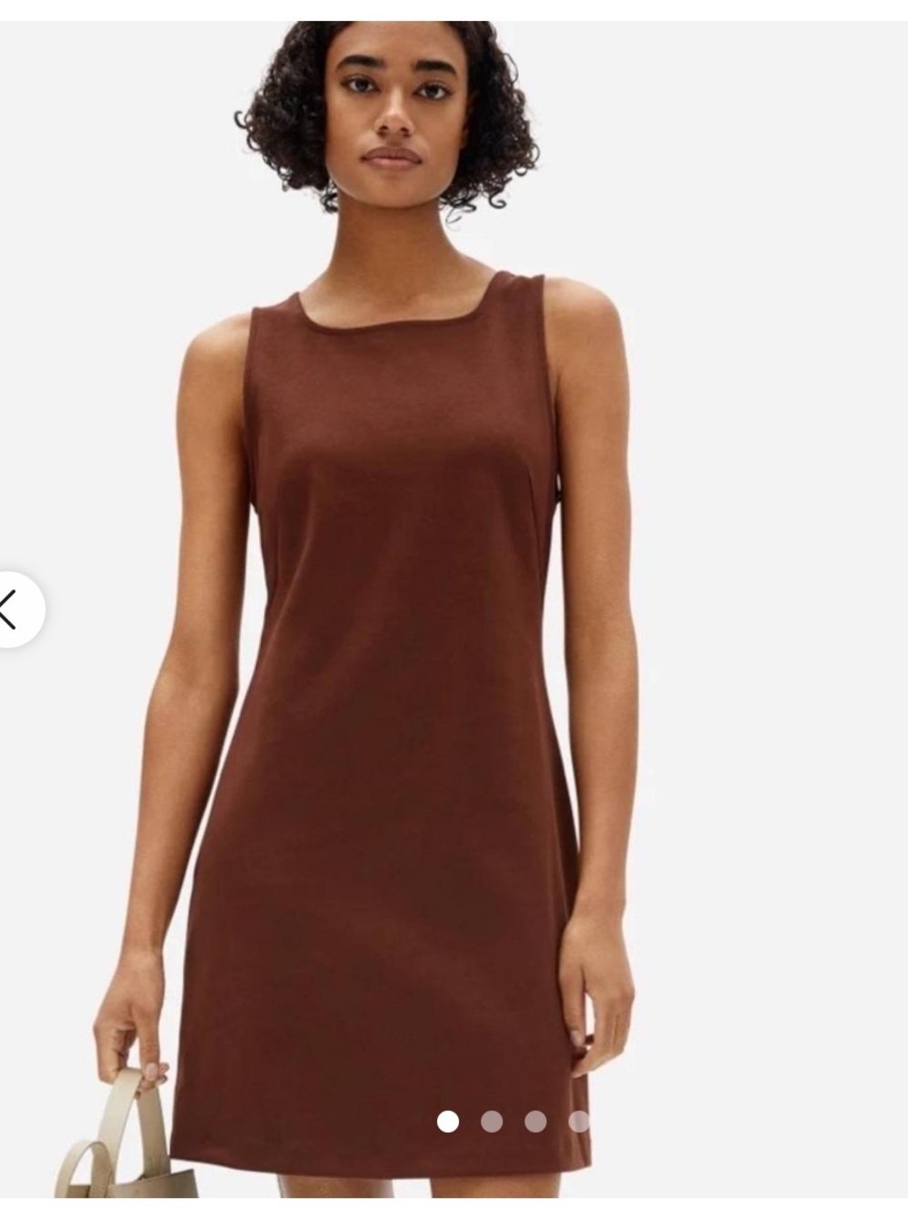 Everlane Party of One brown sleeveless mini dress